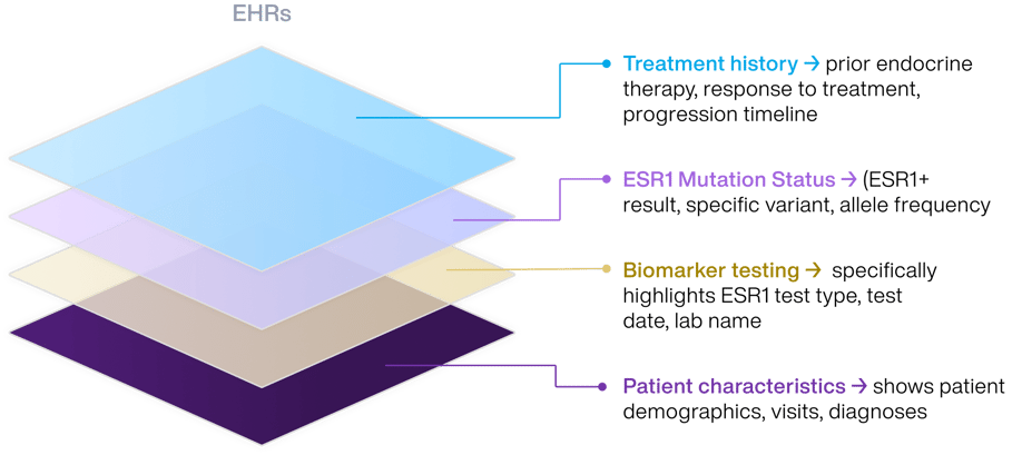 EHR datastack