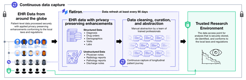 International data curation